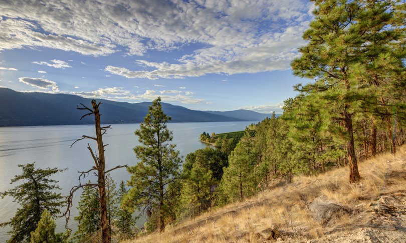 Views Of Okanagan Lake