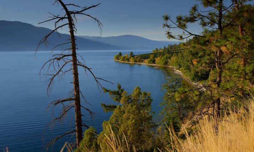 Views Of Okanagan Lake